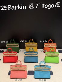 Birkin 25 Togo Calfskin Bag