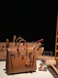 Birkin 20 in Matte Alligator Americanus