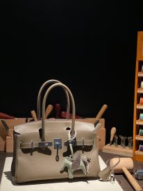Birkin 29 in Evert