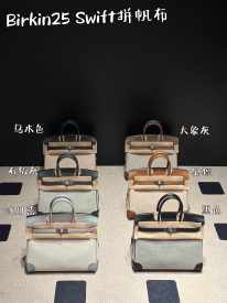 Birkin 25 in Swift & Canvas