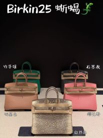 Birkin in Lizard