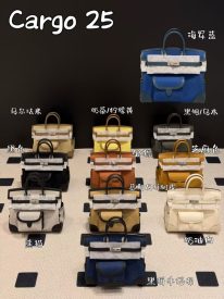 Birkin Cargo 25 in Swift Calfskin and Canvas